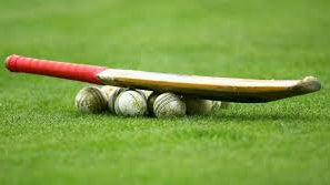 Unveiling the Uni-Swift Slugger: A Game-Changer in Cricket Equipment