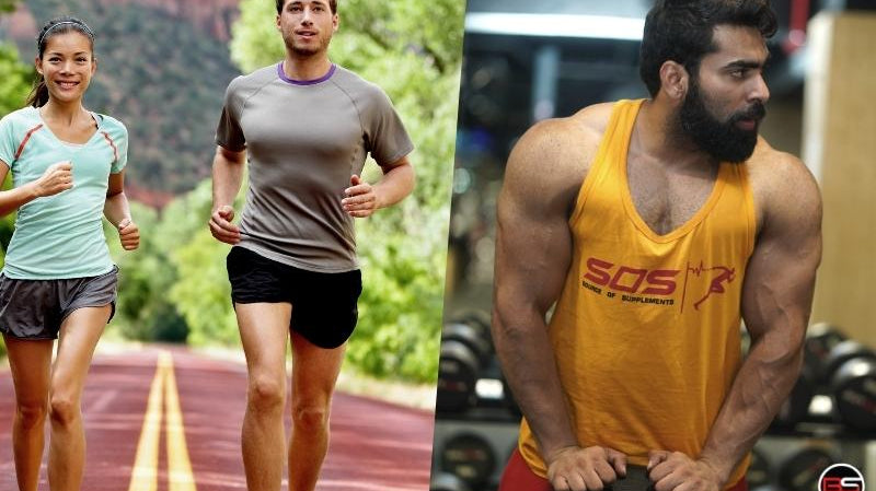 The Importance of Fitness and Sports