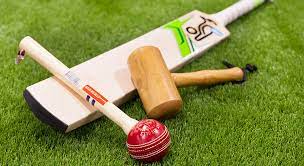 How to do Maintenance of Cricket Bats – For Longevity and Performance