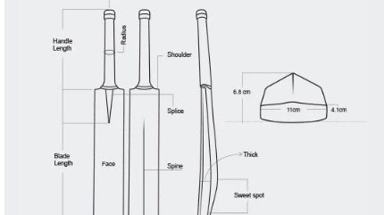 Get the Right Cricket Bat Length for Best Performance