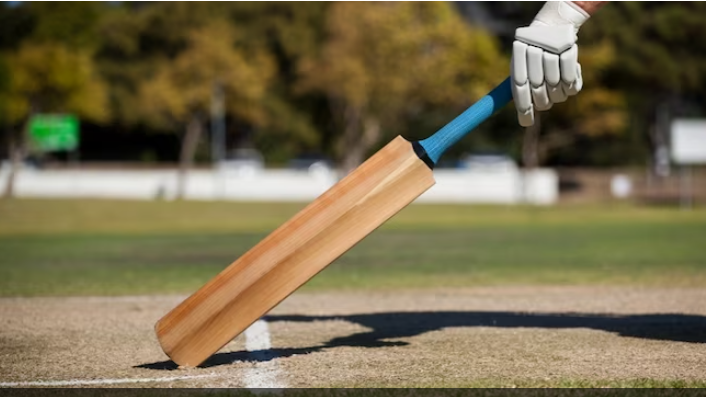 Quality Matters - Get the Best Cricket Bats for Best Results