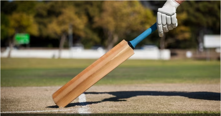 Quality Matters - Get the Best Cricket Bats for Best Results