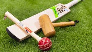 How to do Maintenance of Cricket Bats – For Longevity and Performance
